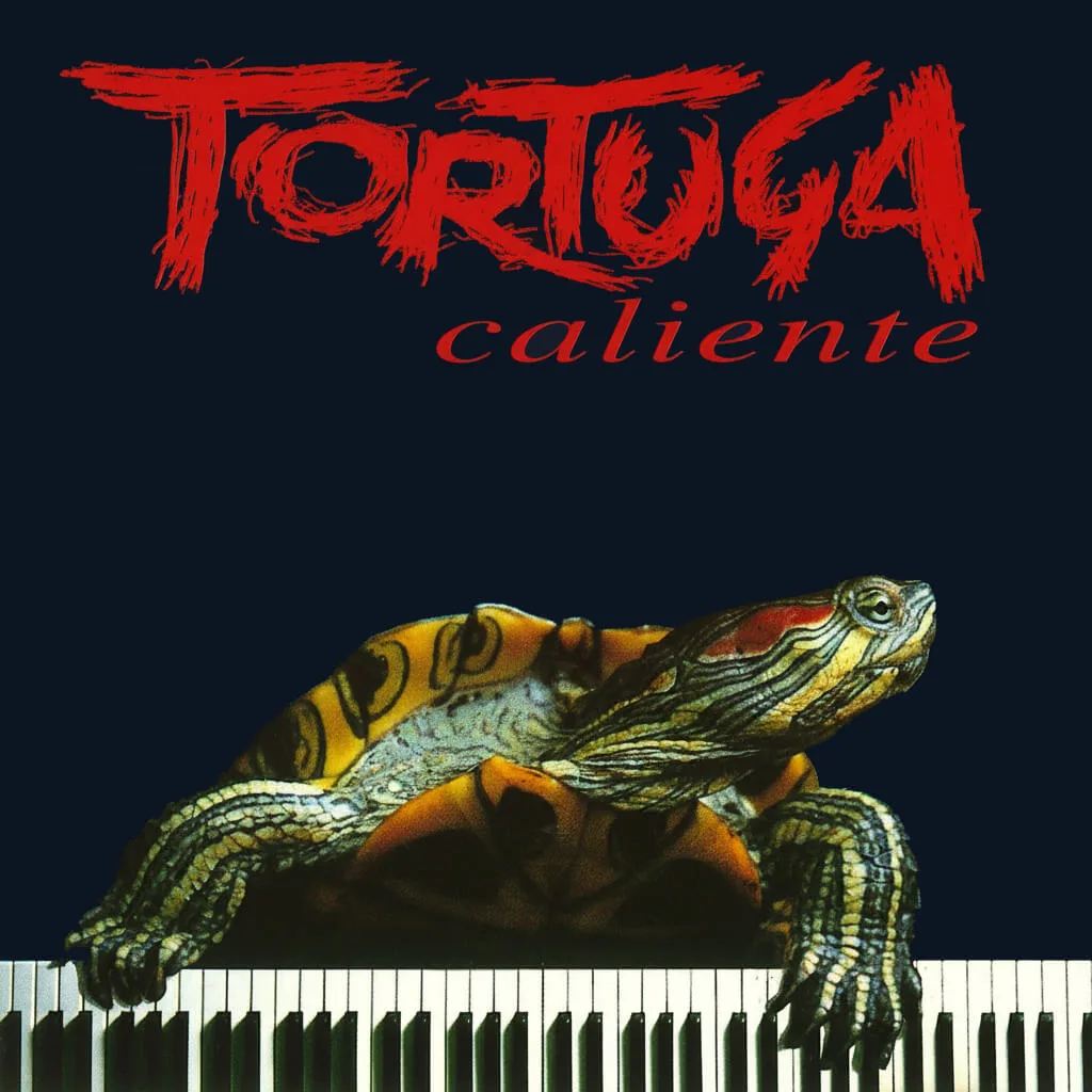 Tortuga caliente