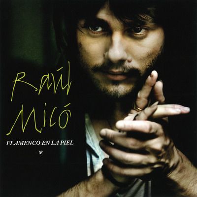 Raúl Micó "Flamenco en la piel"